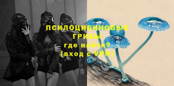 Альфа ПВП Аркадак