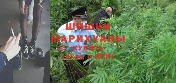 Альфа ПВП Аркадак