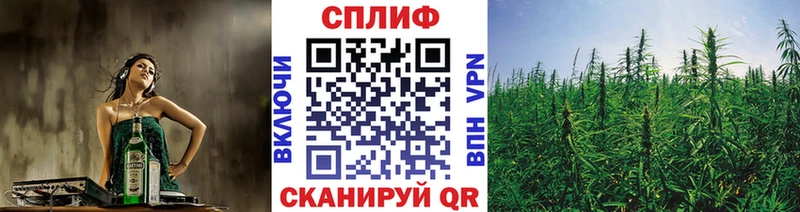 наркотики Мамадыш Бошки марихуана конопля